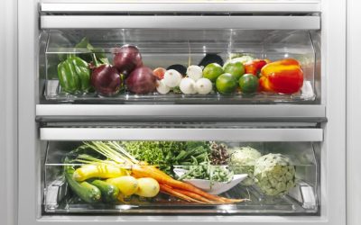Thermador Refrigerator Repair Guide: Spring Ready Tips