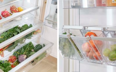 Fresh Nowruz: Preserving Tradition in Your Thermador Fridge