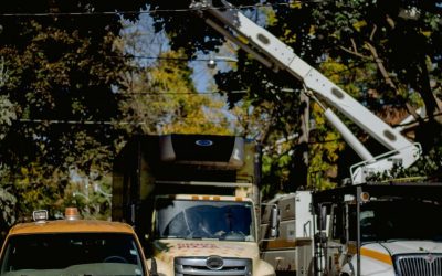 Expert Thermador Range Repair for Bellevue Homes